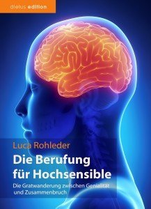 dielus Hochsensibilitaet Cover