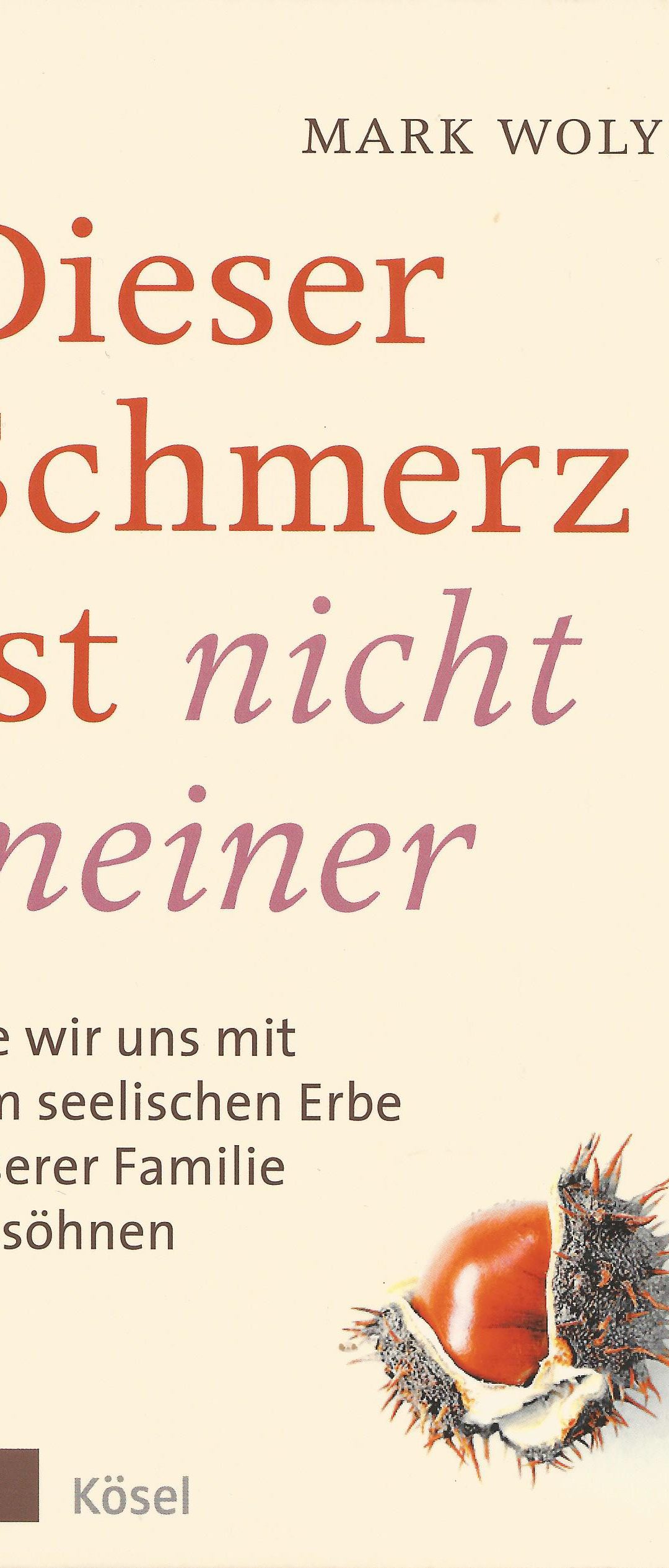 Dieser Schmerz ist nicht meiner – eine Rezension