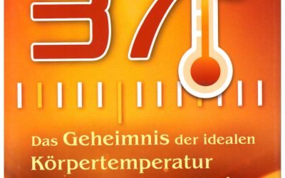 37° – eine Rezension